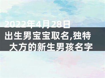 2022年4月28日出生男宝宝取名,独特大方的新生男孩名字