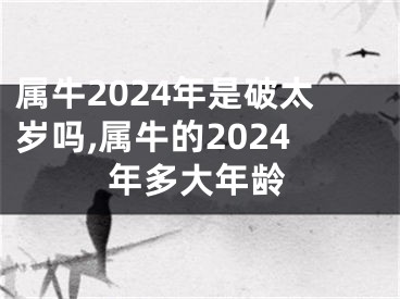 属牛2024年是破太岁吗,属牛的2024年多大年龄