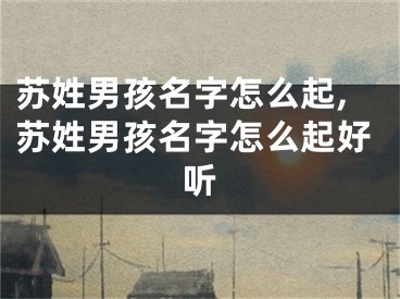 苏姓男孩名字怎么起,苏姓男孩名字怎么起好听