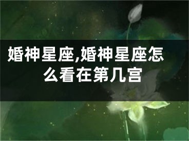 婚神星座,婚神星座怎么看在第几宫