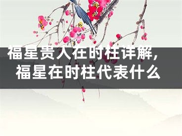 福星贵人在时柱详解,福星在时柱代表什么