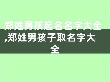 郑姓男孩起名名字大全,郑姓男孩子取名字大全