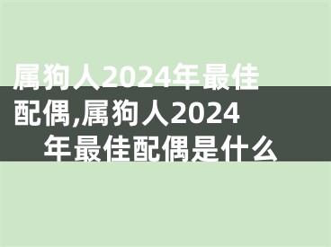 属狗人2024年最佳配偶,属狗人2024年最佳配偶是什么