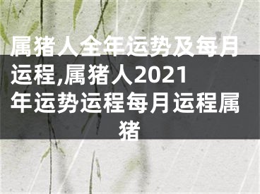 属猪人全年运势及每月运程,属猪人2021年运势运程每月运程属猪