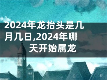 2024年龙抬头是几月几日,2024年哪天开始属龙