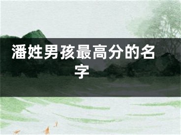  潘姓男孩最高分的名字 