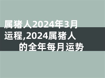 属猪人2024年3月运程,2024属猪人的全年每月运势