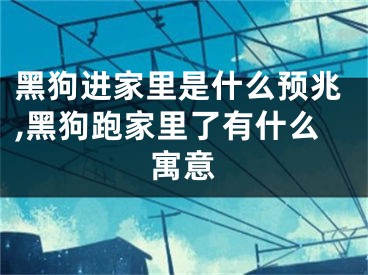 黑狗进家里是什么预兆,黑狗跑家里了有什么寓意