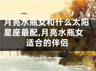 月亮水瓶女和什么太阳星座最配,月亮水瓶女适合的伴侣