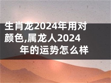 生肖龙2024年用对颜色,属龙人2024年的运势怎么样