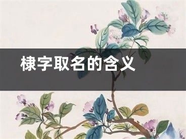  棣字取名的含义 