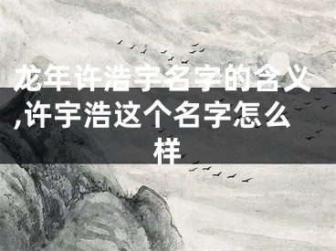 龙年许浩宇名字的含义,许宇浩这个名字怎么样