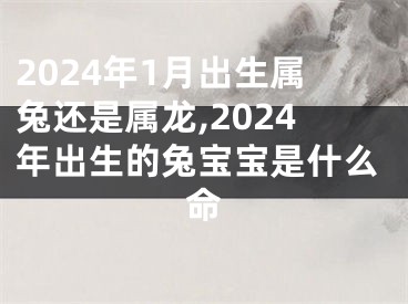 2024年1月出生属兔还是属龙,2024年出生的兔宝宝是什么命