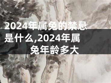 2024年属兔的禁忌是什么,2024年属兔年龄多大