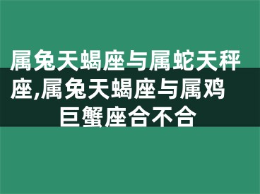 属兔天蝎座与属蛇天秤座,属兔天蝎座与属鸡巨蟹座合不合