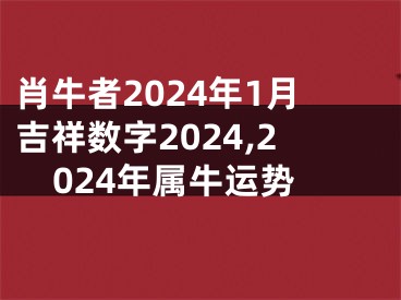 肖牛者2024年1月吉祥数字2024,2024年属牛运势