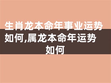 生肖龙本命年事业运势如何,属龙本命年运势如何