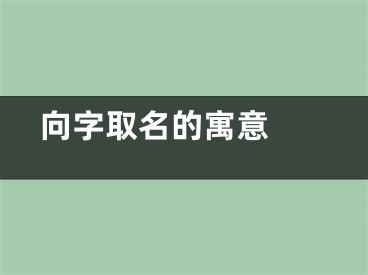  向字取名的寓意 