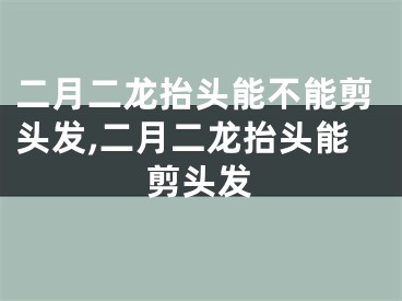 二月二龙抬头能不能剪头发,二月二龙抬头能剪头发