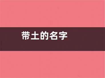  带土的名字 