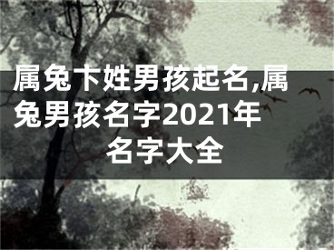 属兔卞姓男孩起名,属兔男孩名字2021年名字大全