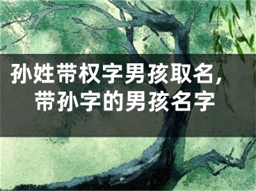 孙姓带权字男孩取名,带孙字的男孩名字