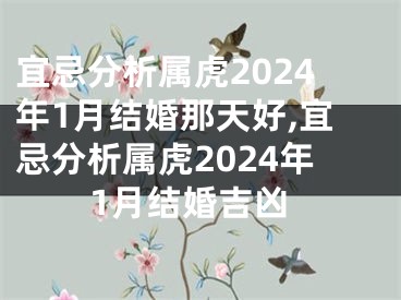 宜忌分析属虎2024年1月结婚那天好,宜忌分析属虎2024年1月结婚吉凶