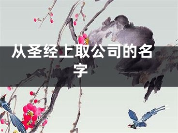  从圣经上取公司的名字 