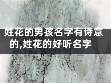 姓花的男孩名字有诗意的,姓花的好听名字