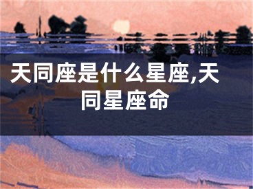 天同座是什么星座,天同星座命