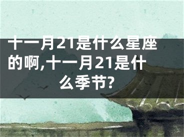 十一月21是什么星座的啊,十一月21是什么季节?