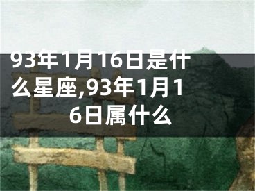 93年1月16日是什么星座,93年1月16日属什么