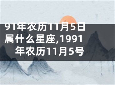 91年农历11月5日属什么星座,1991年农历11月5号