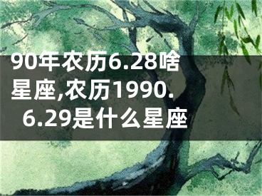 90年农历6.28啥星座,农历1990.6.29是什么星座