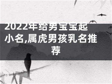 2022年给男宝宝起小名,属虎男孩乳名推荐