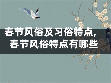 春节风俗及习俗特点,春节风俗特点有哪些