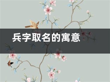  兵字取名的寓意 