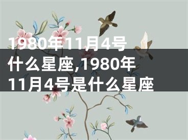 1980年11月4号什么星座,1980年11月4号是什么星座