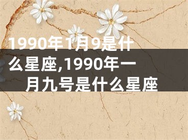 1990年1月9是什么星座,1990年一月九号是什么星座