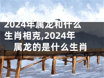 2024年属龙和什么生肖相克,2024年属龙的是什么生肖