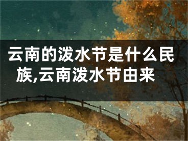 云南的泼水节是什么民族,云南泼水节由来