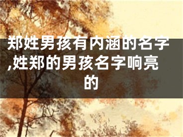 郑姓男孩有内涵的名字,姓郑的男孩名字响亮的