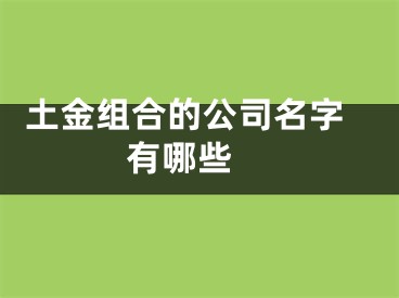  土金组合的公司名字有哪些 