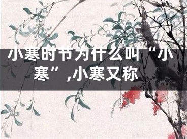 小寒时节为什么叫“小寒”,小寒又称