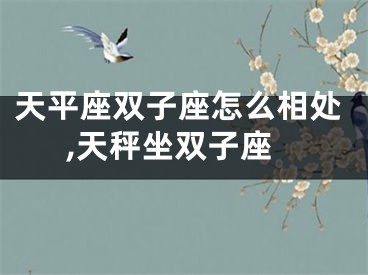 天平座双子座怎么相处,天秤坐双子座