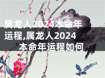 属龙人2024本命年运程,属龙人2024本命年运程如何