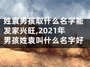 姓袁男孩取什么名字能发家兴旺,2021年男孩姓袁叫什么名字好