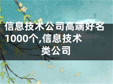 信息技术公司高端好名1000个,信息技术类公司