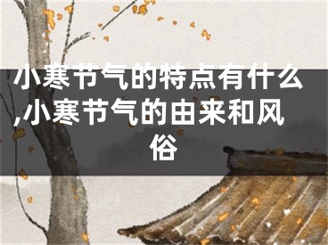 小寒节气的特点有什么,小寒节气的由来和风俗