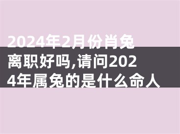 2024年2月份肖兔离职好吗,请问2024年属兔的是什么命人